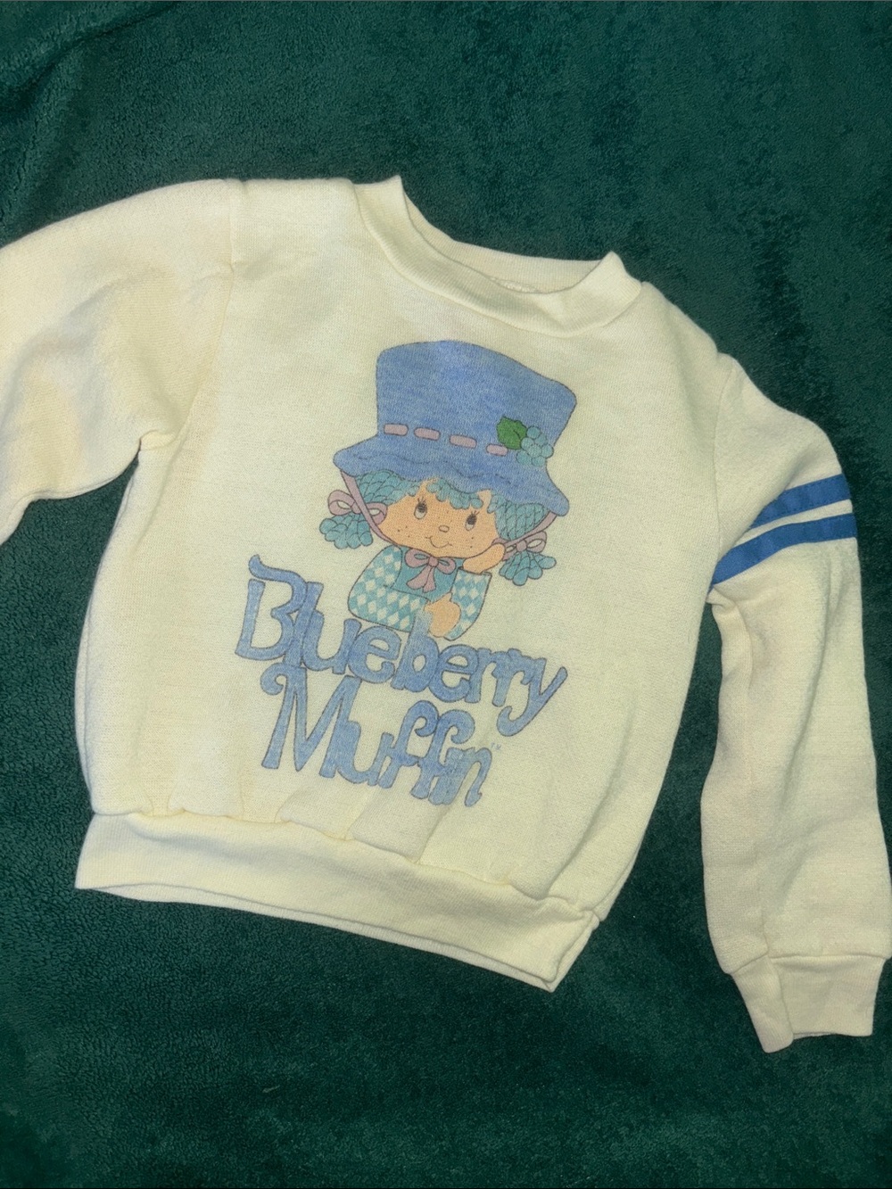 Vintage Cream Blueberry Muffin Graphic Kids Sweatshirt